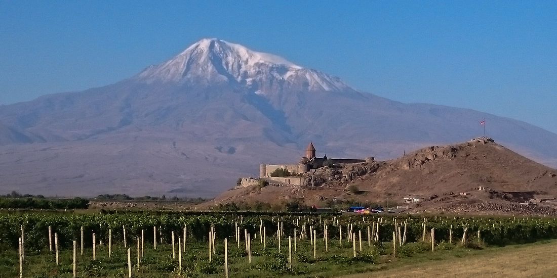 Vine rows below Khor Virap monastery with snow-covered Mount Ararat behind