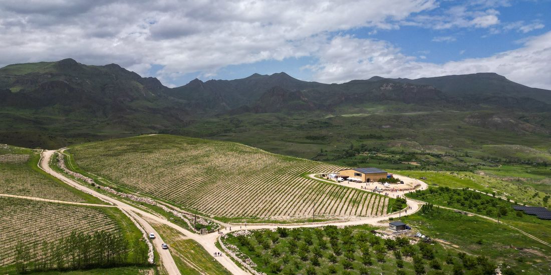 Zorah vineyards and winery on the high shelf above Rind, Vayots Dzor