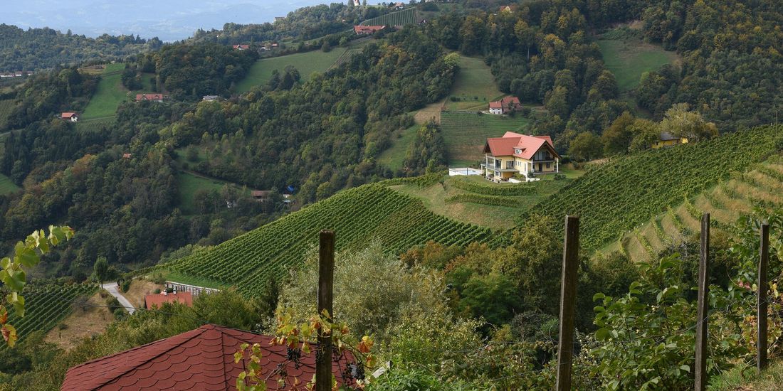 Steep vineyard slopes and farmhouses in the hills of South Styria