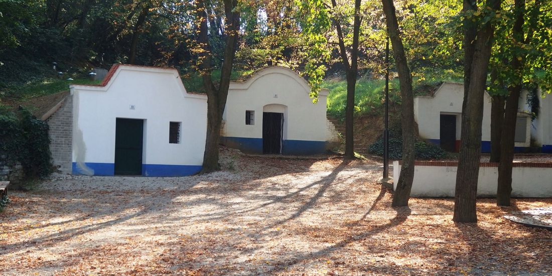 Whitewashed wine cellars with blue skirting and painted ornament in the Plže lane at Petrov
