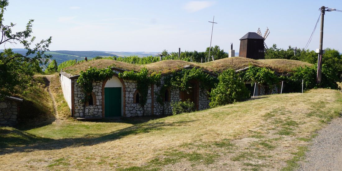 Grass-roofed stone wine cellars in a lane at Vrbice, South Moravia, with a wooden windmill behind
