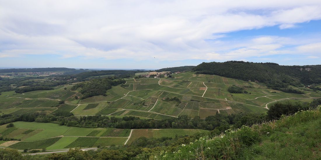 Patchwork of vineyards on the Revermont slopes around Château-Chalon, Jura, north of Rotalier