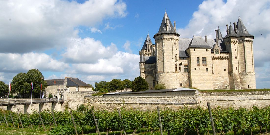 The white tuffeau Château de Saumur with slate turrets rising behind a row of vines, Loire