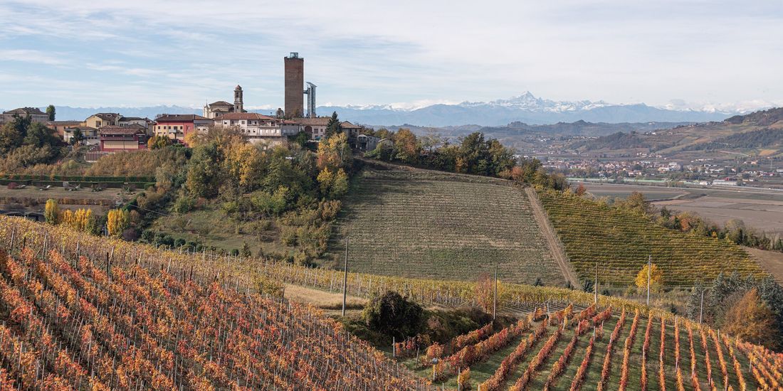 Autumn vineyards in red and gold below the tower of Barbaresco, Piedmont, with the Alps on the horizon