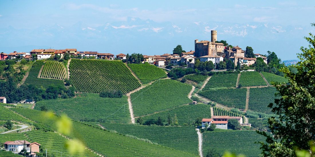 The hilltop village of Castiglione Falletto and its castle tower above Nebbiolo vineyards in the Langhe